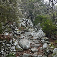 Photo de france - La randonnée du Mont Caroux